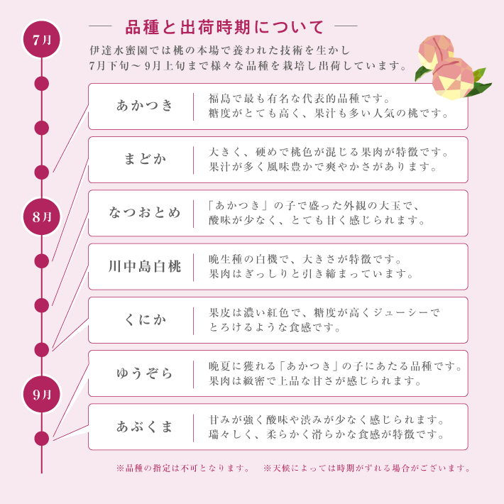 福島の家庭用もも グエンさん専用 おひとり様2箱まで！】産地直送 訳あり桃 5kg 福島県産 冷蔵便
