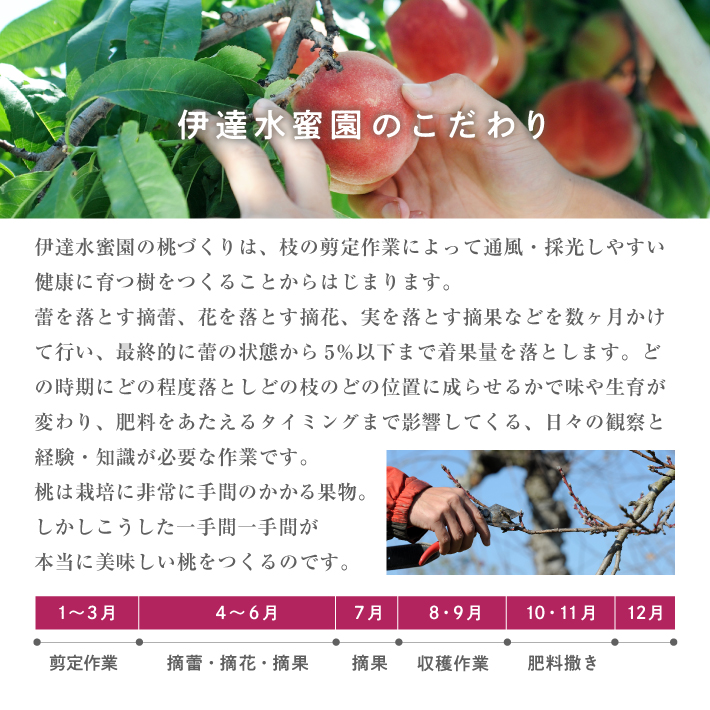 おひとり様2箱まで！】産地直送 訳あり桃 5kg 福島県産 冷蔵便