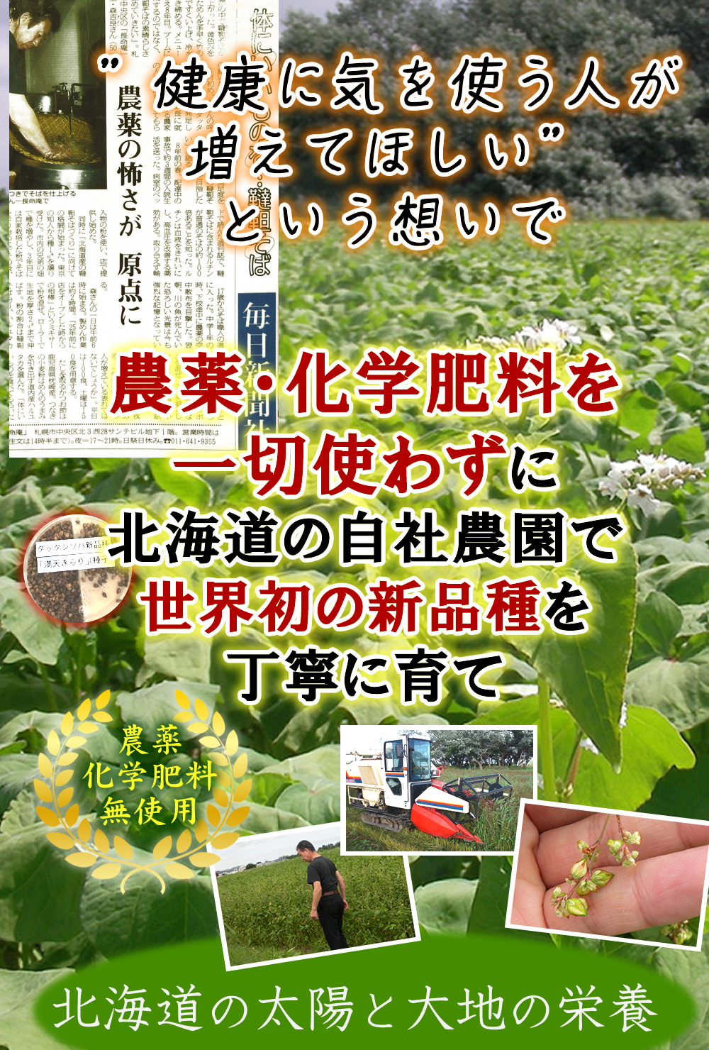 北海道で無農薬栽培した満天きらりを丁寧に育て