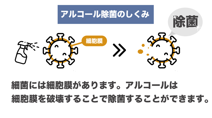 アルコールは菌の細胞膜を破壊することで除菌効果を発生させます。細胞膜がある菌にはしっかりした除菌効果が生じます