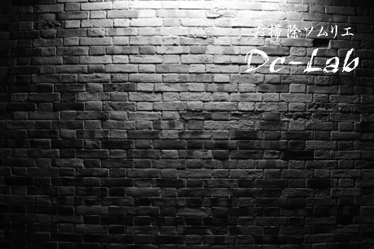 タイルに最適なコーティング剤 お掃除ソムリエ ディーシー ラボ 通販 Yahoo ショッピング