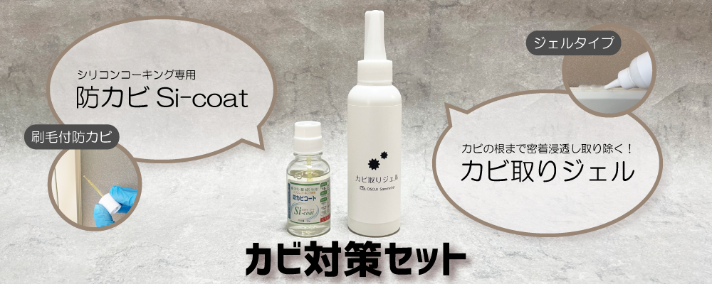 カビ取りジェルとSi-コートのセット