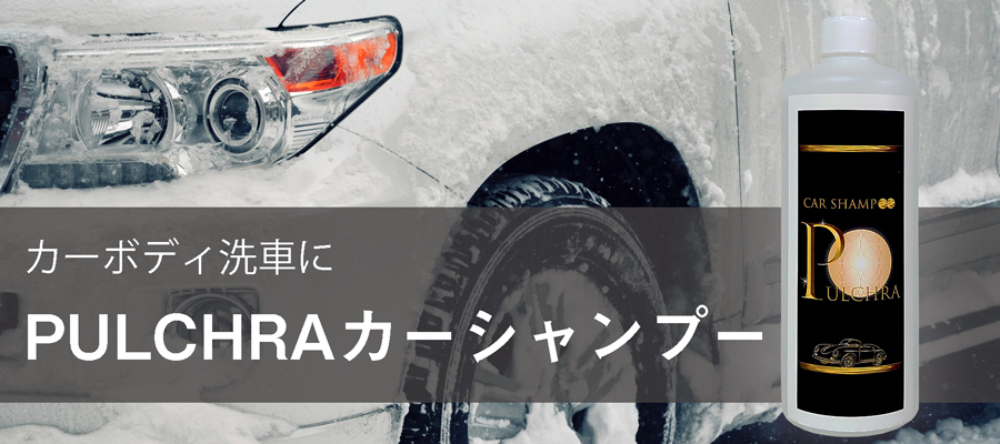 社内の洗浄後は社外の洗浄。愛車を丸々洗うカーシャンプーPULCHRA