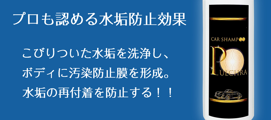 プロも求めたカーシャンプー