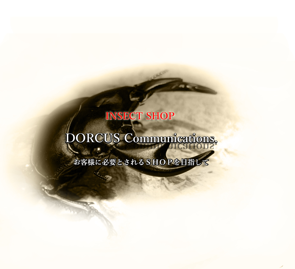 DORCUS Communications. ヘッダー画像