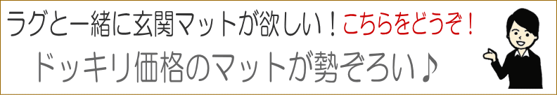 ラグと一緒にマットが欲しい