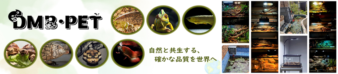 DMB・PET ヘッダー画像