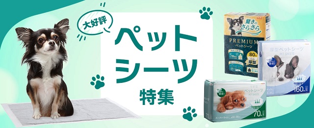 DCM株式会社品 水性木部高耐久ペイント 3L DCM 木部用 ウォルナット