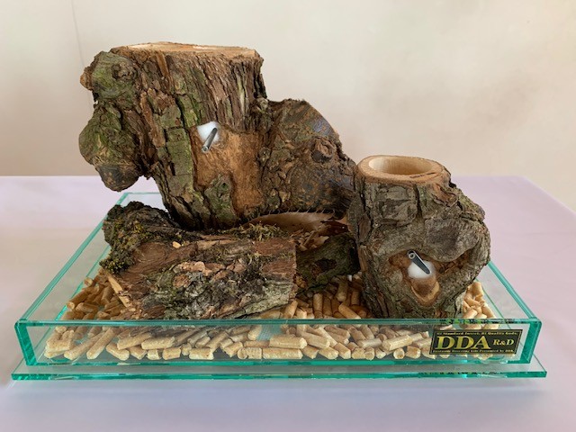 2wayクラフトBOXセット(架台・水槽) dda クワガタ カブトムシ