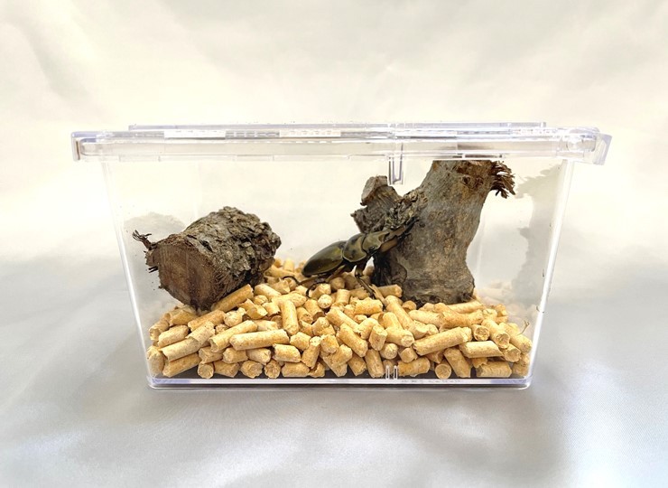 newヘラノギス dda クワガタ カブトムシ 飼育 ノギス 計測 成虫
