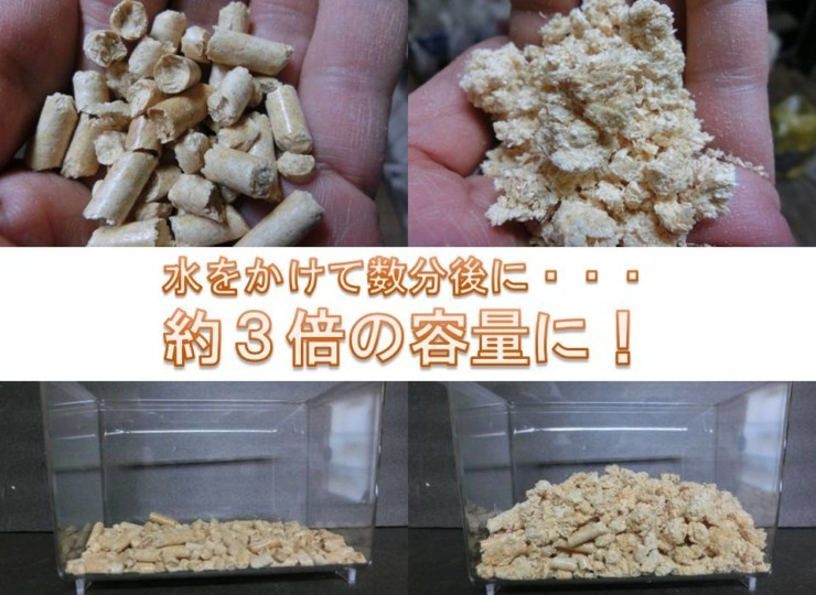 昆虫専用 針葉樹 ペレット 約6L dda クワガタ カブトムシ 昆虫マット 成虫マット