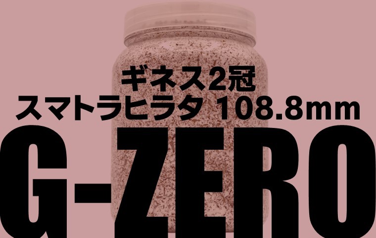 ギネス2冠／G-ZERO 2300 即効肥大 dda クワガタ 菌糸ビン 菌糸瓶 幼虫
