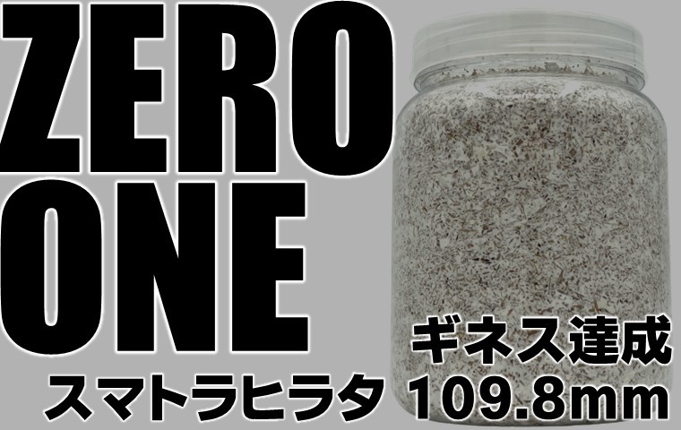 ZERO-ONE 800 万能型菌糸 dda クワガタ 幼虫 菌糸 ボトル 菌糸ビン