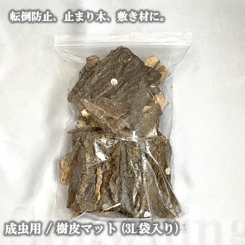 チリ産AA+水苔 500g 超圧縮タイプ dda クワガタ カブトムシ 昆虫 マット : mizukoke500g : DDAism ヤフー店 -  通販 - Yahoo!ショッピング