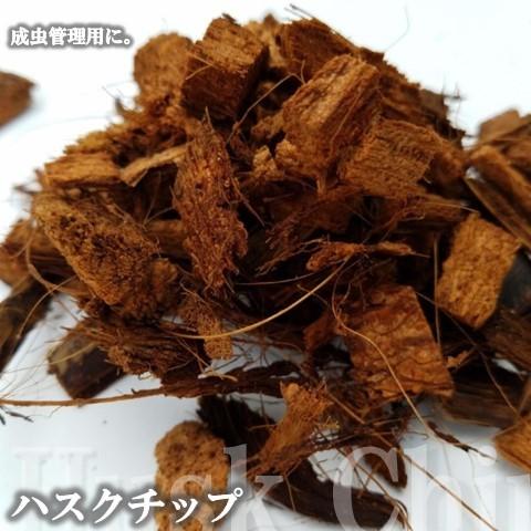 チリ産AA+水苔 500g 超圧縮タイプ dda クワガタ カブトムシ 昆虫 マット : mizukoke500g : DDAism ヤフー店 -  通販 - Yahoo!ショッピング