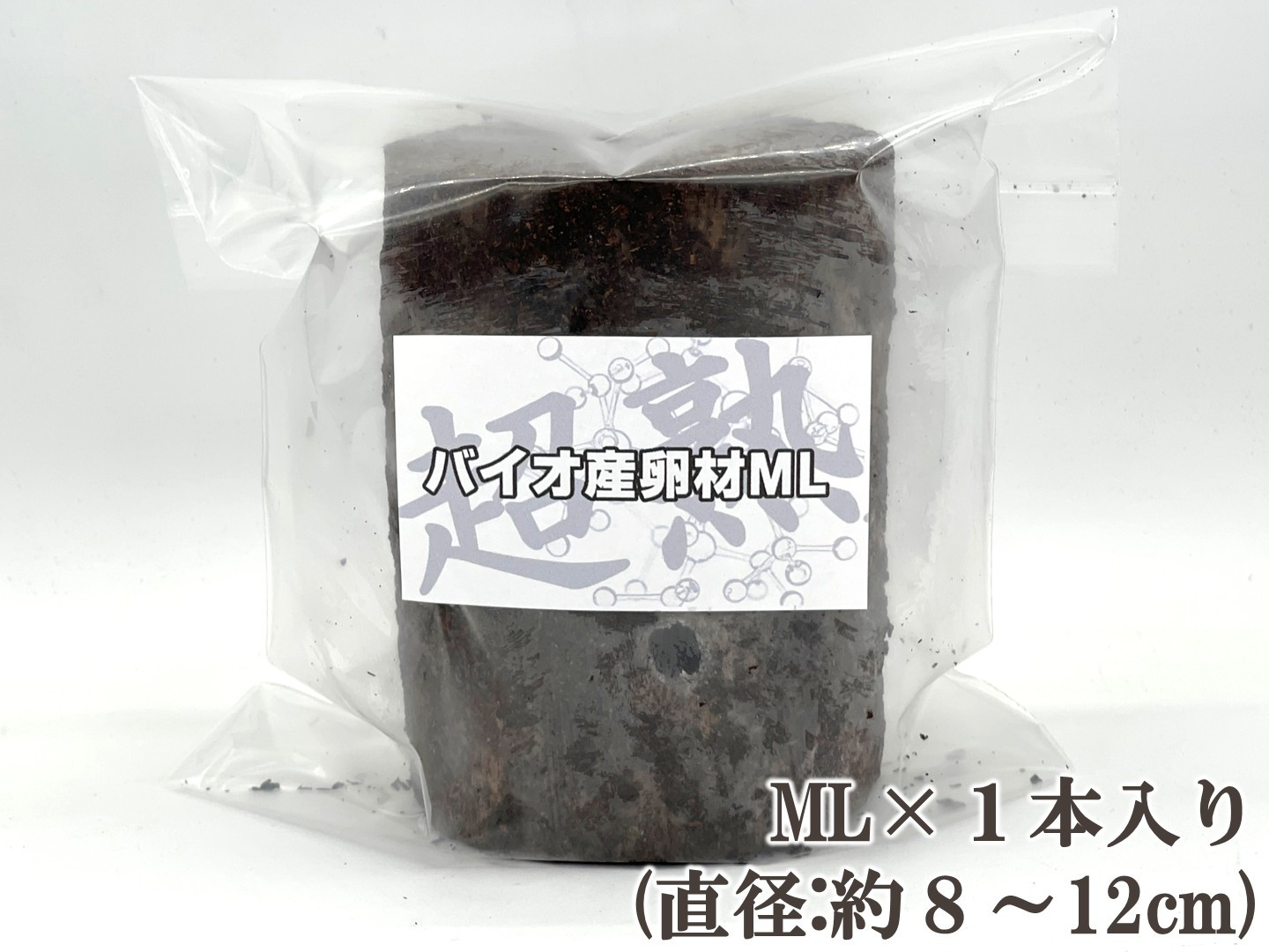 インドグランディスオオクワ 1セット1本 22個採卵実績 『超熟』バイオ