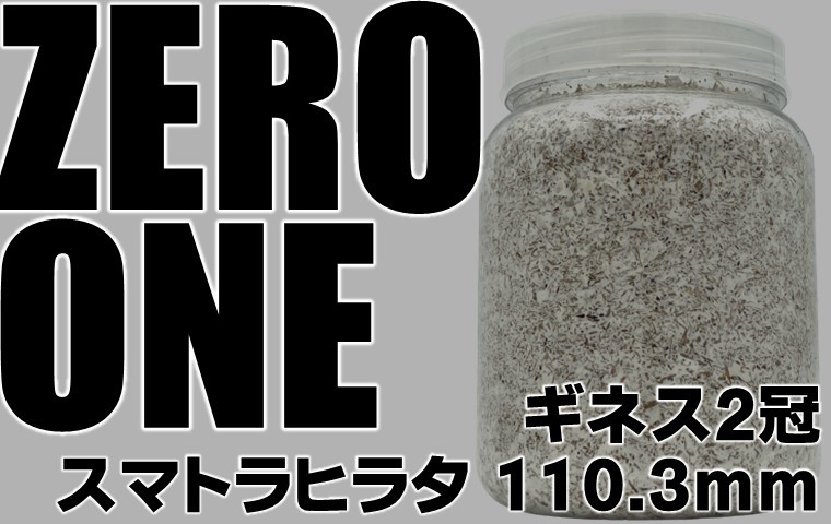 ギネス2冠記念セール／ ZERO-ONE ブロック 万能型菌糸 dda クワガタ
