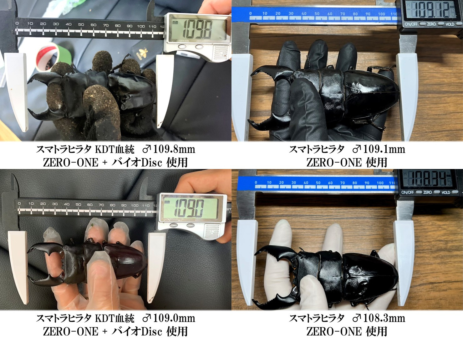 ギネス2冠／ZERO-ONE 1500 万能型菌糸 dda クワガタ 菌糸ビン 菌糸瓶