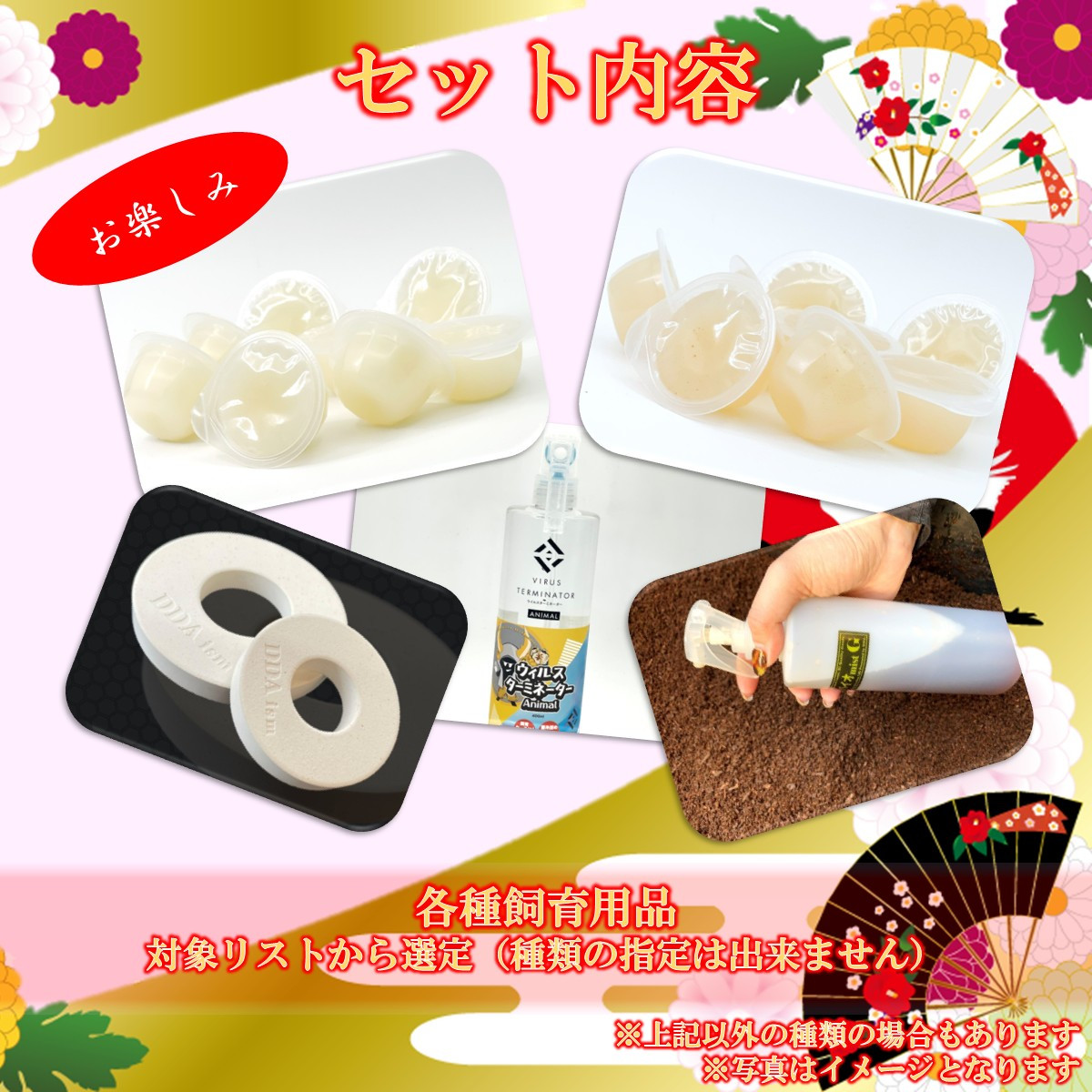 オオカブト福袋 （ヘラクレスオオカブト成虫ペア+各種カブト成虫ペア+