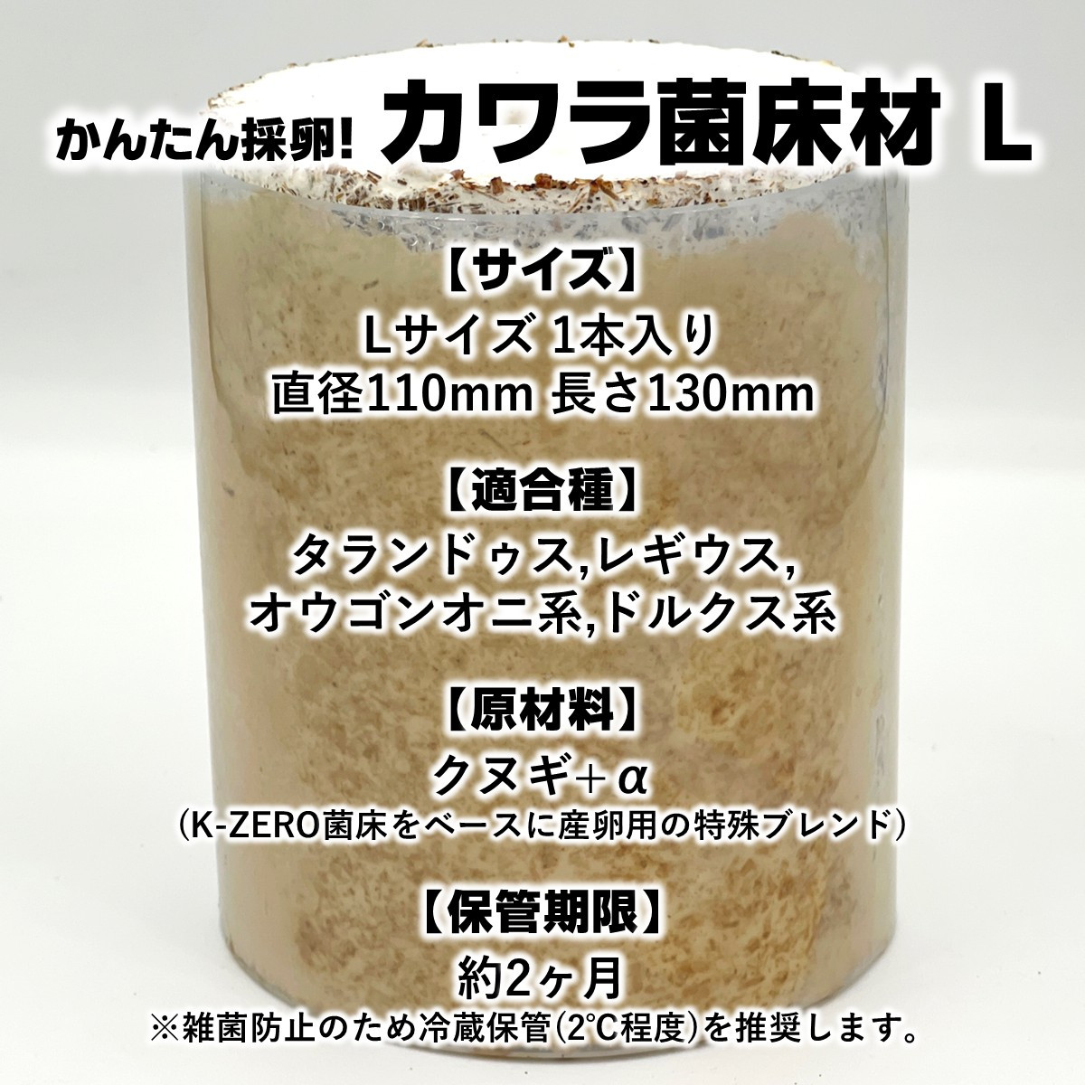 タランドゥスオオツヤ 1♀54個採卵 カワラ菌床材L 加水,下処理不要