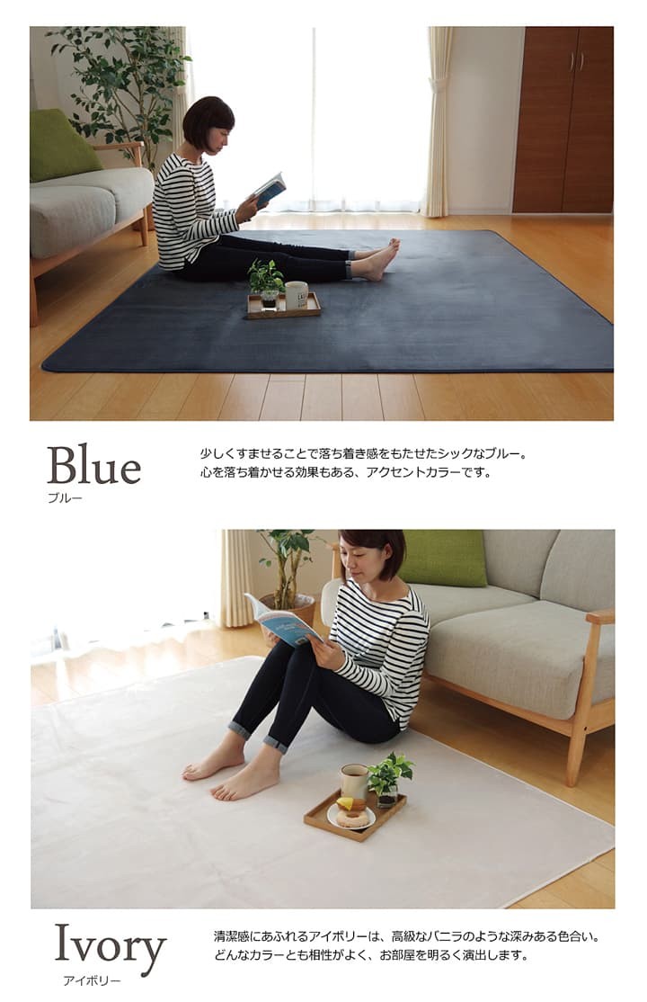 イケヒコ 洗濯機 丸洗いOK なめらかタッチ ラグ 抗菌 防臭 すべり