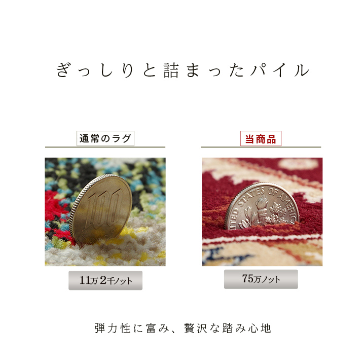 ベルミラ ＲＵＧ (I) カーペット絨毯ラグ高級ラグウィルトン長方形クラシック柄エレガンス約200×300cm_7