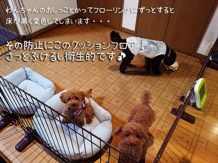 CES6217ラグ(Y) ペット用ダイニングラグカーペット 消臭クッションフロアラグ 防炎 抗菌 日本製