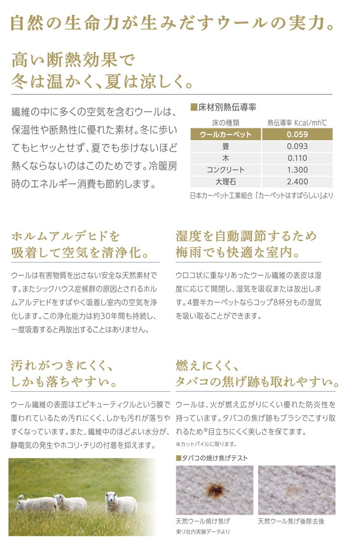 オーダーカーペット 東リ 防炎 防ダニ 制電 ウール オールシーズン 抗菌 防ダニ 防炎 防汚 業務用 ヴェルファー 約250×300cm 以下で サイズオーダー 半額以下_4
