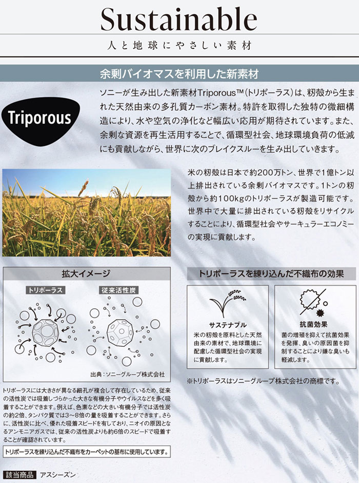 生地サンプル アスシーズン SZN (A) 引...の詳細画像4