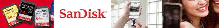 送料無料 SanDisk サンディスク 128GB Extreme PRO UHS-I SDXC 200MB s SDSDXXD-128G-GN4IN [海外リテール品]