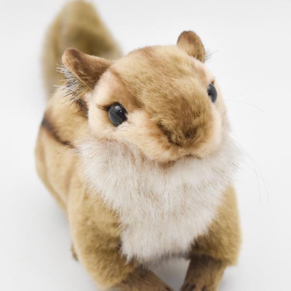 しまりすページ HANSA BH3091 シマリス しまりす 縞栗鼠 ぬいぐるみ リアル : Dear