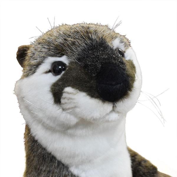 HANSA BH3320 カワウソ 獺 かわうそ ぬいぐるみ リアル 爆買 母の日