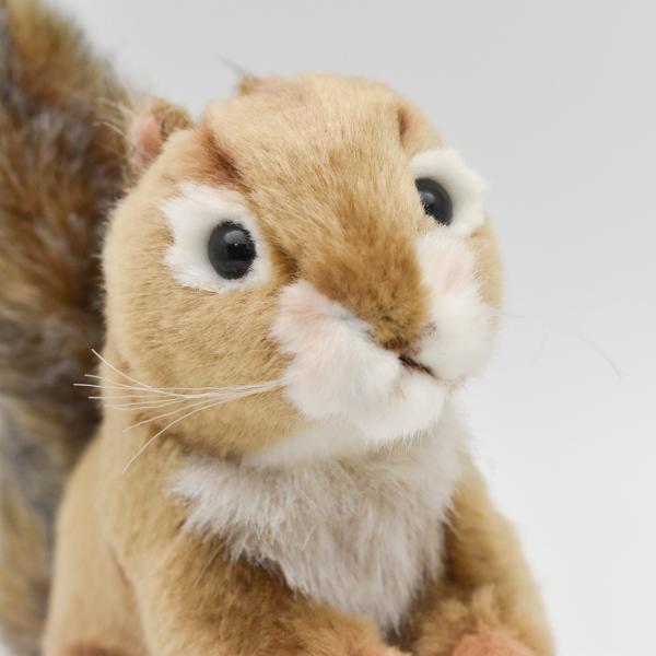 HANSA（ぬいぐるみ） BH3395 アカリス HANSA りす 栗鼠