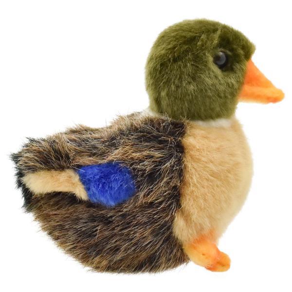 HANSA BH3570 マガモ 仔 まがも 真鴨 とり トリ 鳥 こども 子供