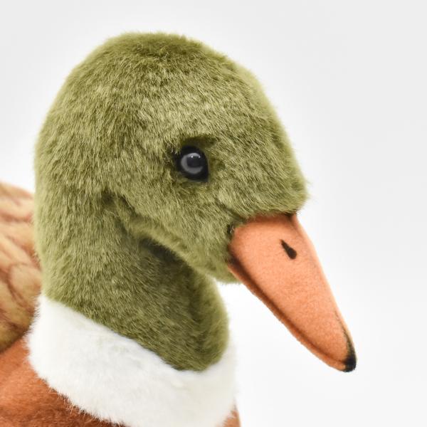 HANSA BH3601 マガモ まがも 真鴨 とり トリ 鳥 ぬいぐるみ リアル