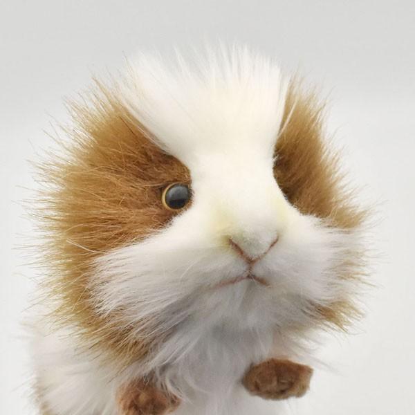 HANSA BH3735 テンジクネズミ てんじくねずみ 天竺鼠 ぬいぐるみ