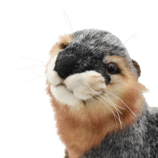 HANSA BH3813 カワウソ 獺 かわうそ ぬいぐるみ リアル 爆買 母の日