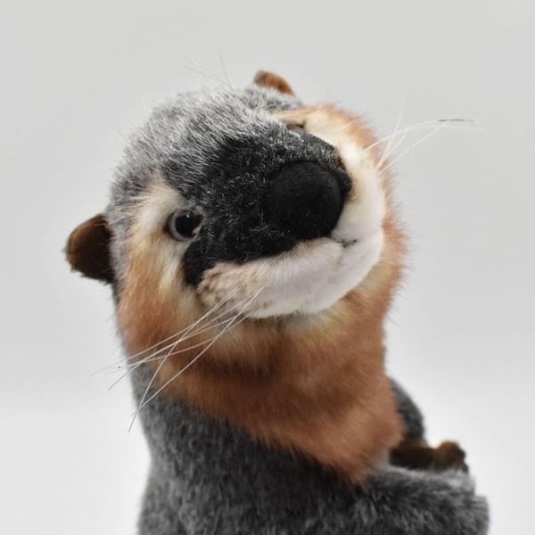 HANSA BH3814 カワウソ 獺 かわうそ ぬいぐるみ リアル : Dear Bear