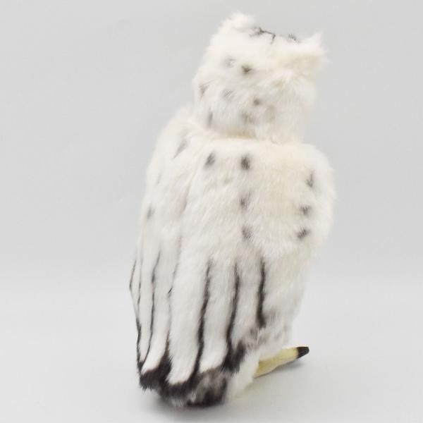 しろ梟 3836_1.jpg