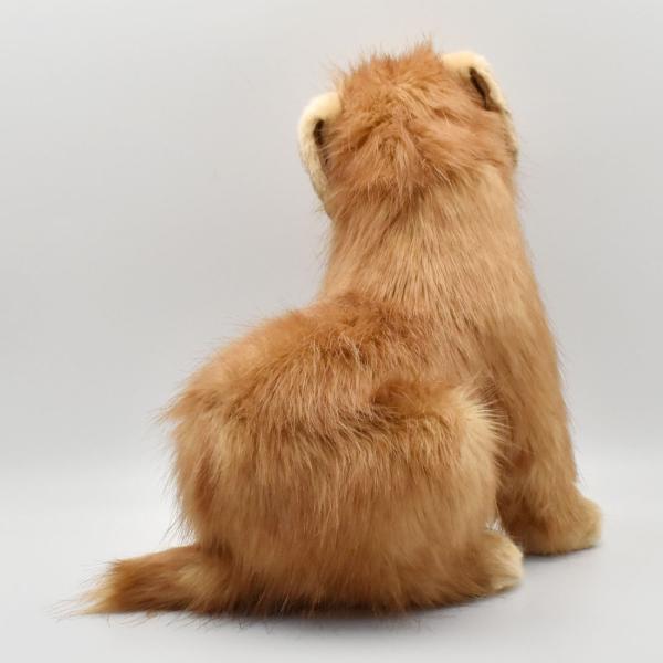 HANSA BH3996 ノーフォークテリア 仔 のーふぉーくてりあ いぬ イヌ 犬