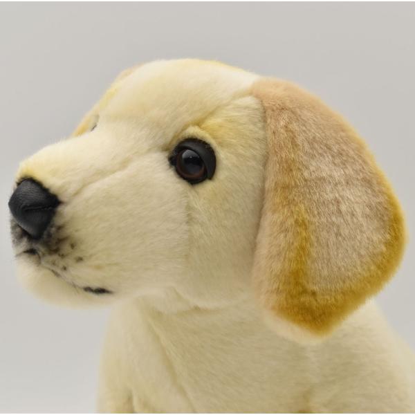 HANSA BH4712 ラブラドール 仔 らぶらどーる いぬ イヌ 犬 こども 子供