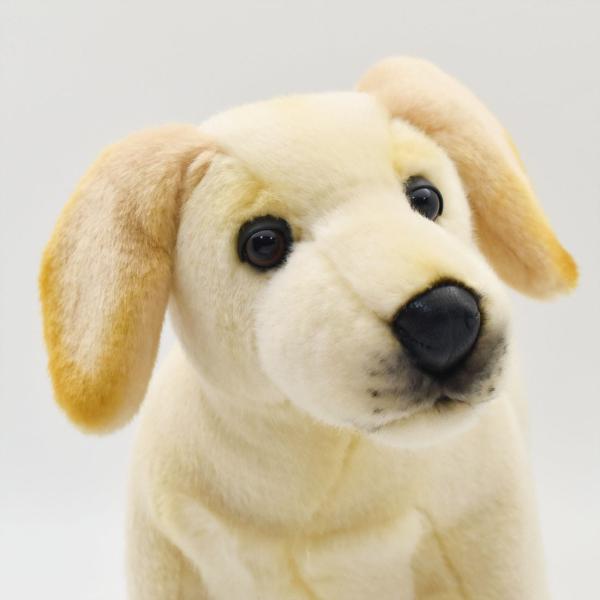 犬のぬいぐるみ いぬさん専用 いぬ様 いぬさま専用 専用 ロコさま専用 ZX｜製品紹介