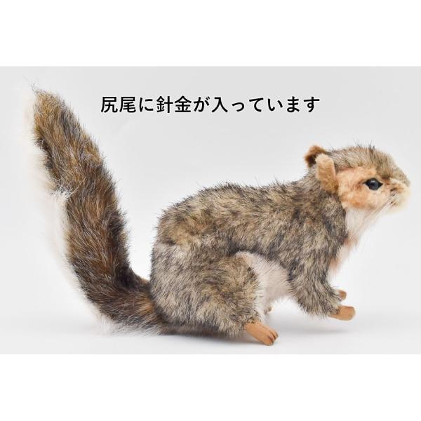 HANSA（ぬいぐるみ） BH4840 ハイイロリス HANSA りす 栗鼠 ぬいぐるみ