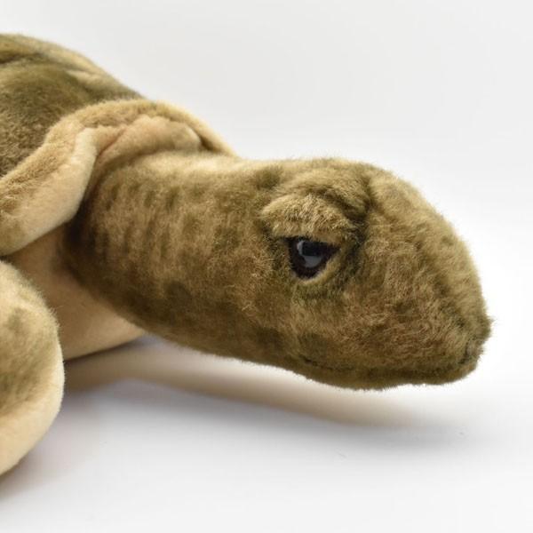 HANSA BH5072 ウミガメ うみがめ 海亀 かめ カメ ぬいぐるみ リアル