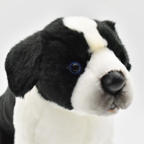 HANSA BH5664 ボーダーコリー 仔 ぼーだーこりー いぬ イヌ 犬 こども