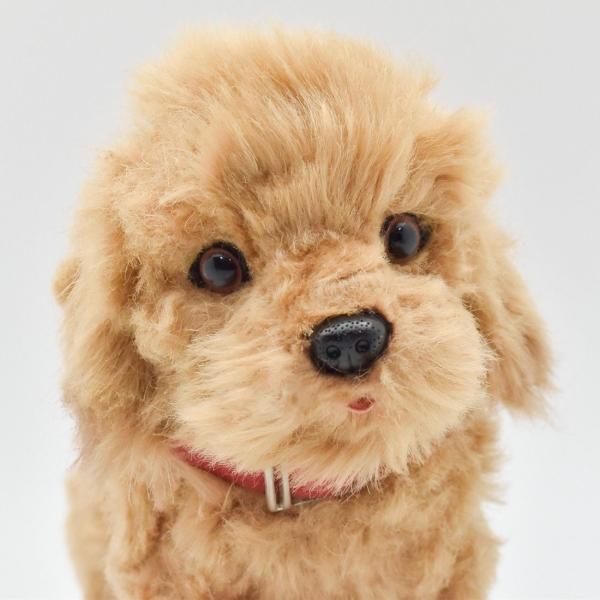 トイプードル ぬいぐるみ Amazon.co.jp: 【BESTEVER】プレミアムパピー Premium Puppy