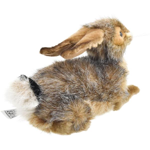 HANSA BH6284 オグロウサギ おぐろうさぎ 兎 ぬいぐるみ リアル : Dear