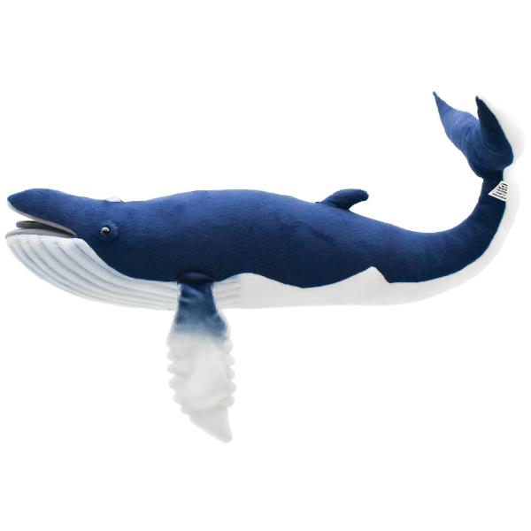 ざとーくじら 6289_1.jpg