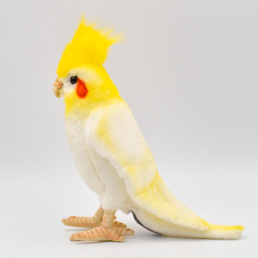 HANSA BH6457 オカメインコ ルチノー おかめいんこ るちのー とり トリ