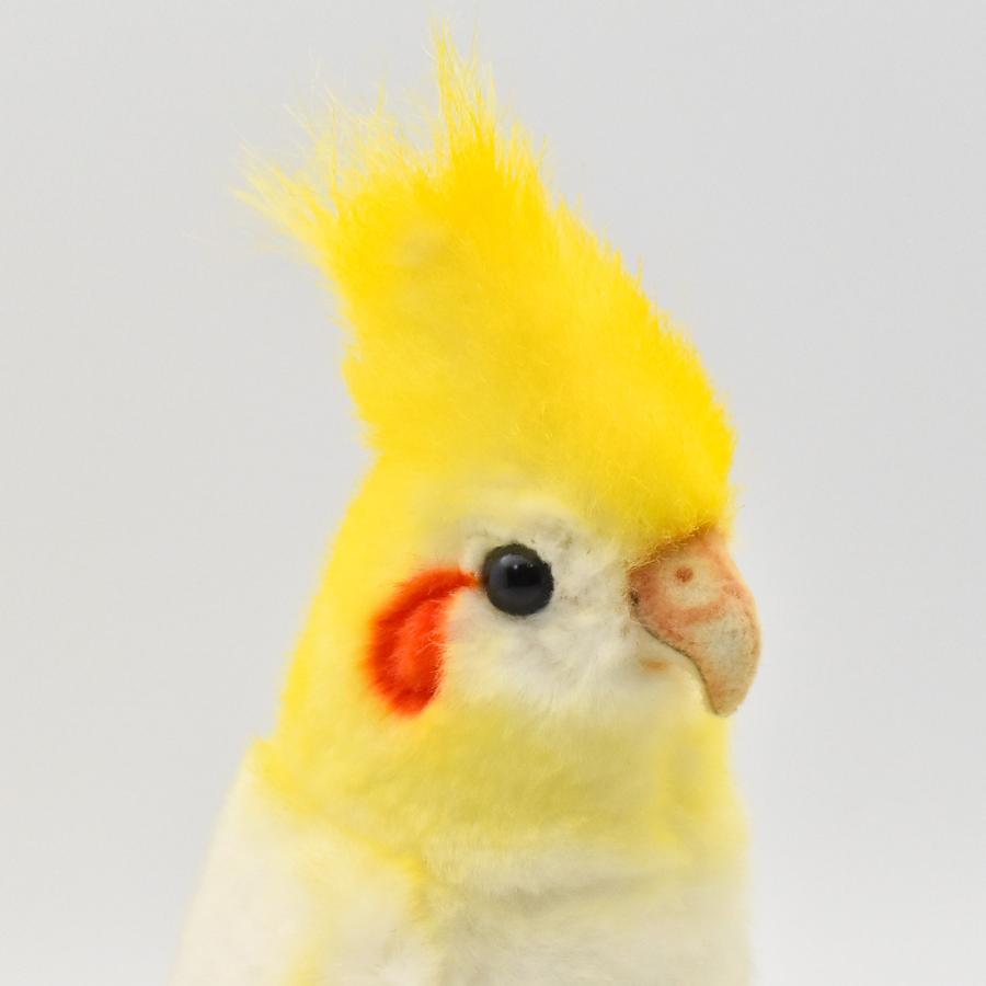 HANSA BH6457 オカメインコ ルチノー おかめいんこ るちのー とり トリ